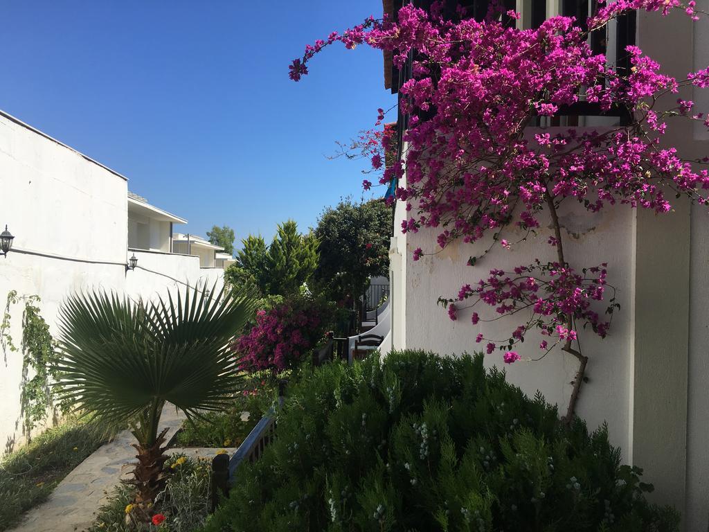 Salinas Beach Hotel Bodrum-Boutique Concept Gumbet Bagian luar foto